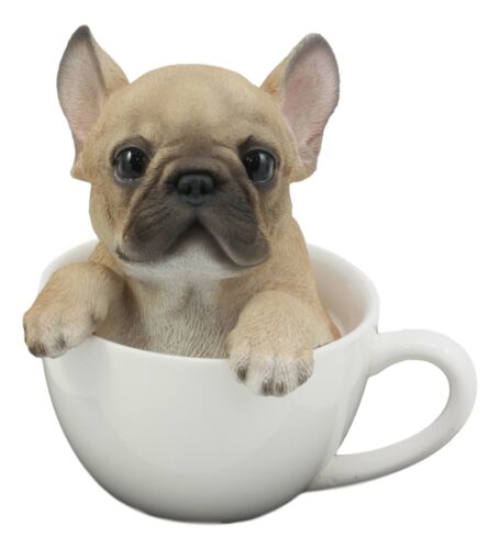 Ebros Realistic French Bulldog Teacup Statue Pet Pal Frenchie Dog Breed Figurine Decor