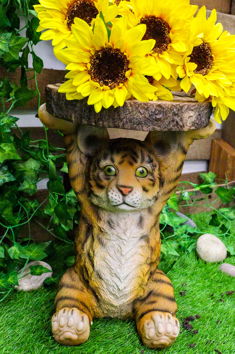 Jungle Bengal Orange Tiger Cub Holding Faux Wood Slice Table Stand Figurine
