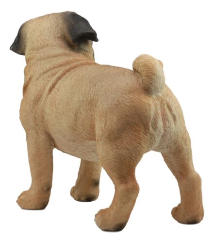 Ebros Large Realistic Fawn Pug Dog Statue 12"L Fine Pedigree Dog Breed Pugsy