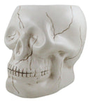 Ceramic Spooky Jointed Homosapien Human Skull Cereal Treat Soup Bowl 32oz