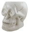 Ceramic Spooky Jointed Homosapien Human Skull Cereal Treat Soup Bowl 32oz