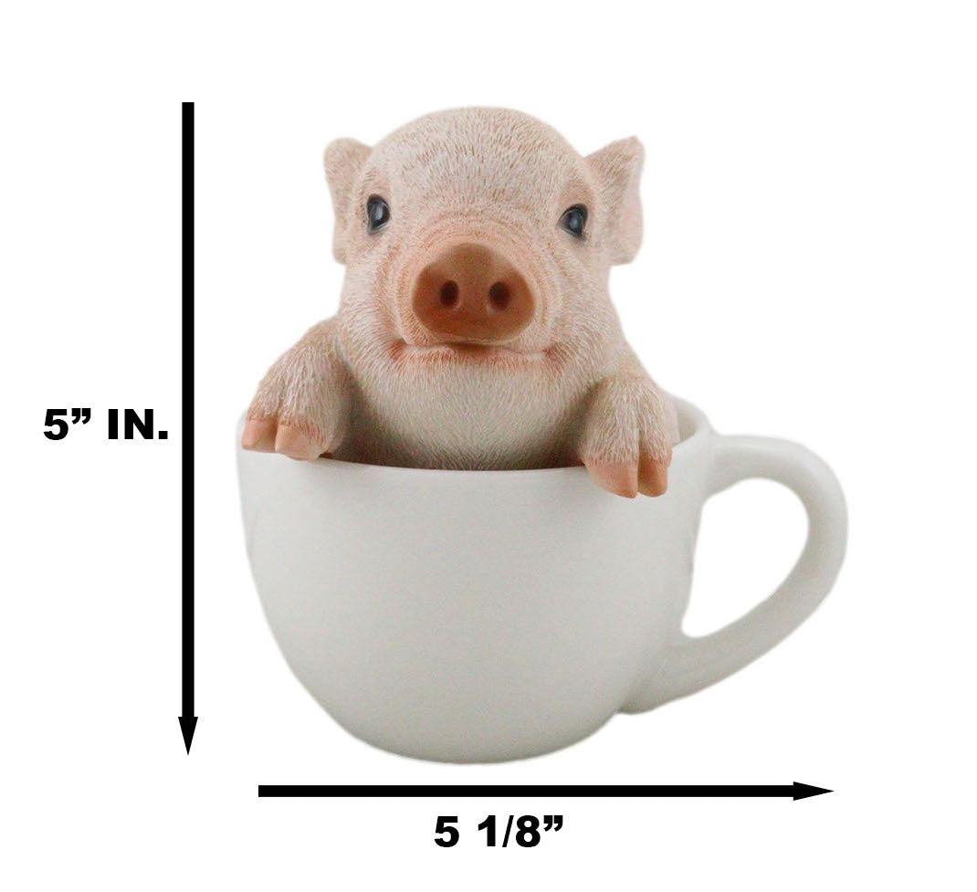 Ebros Adorable Teacup Pig 5.25"H Realistic Animal Collectible Statue with Glass Eyes - Ebros Gift