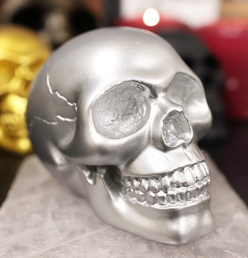 Ebros Pirate's Loot Graveyard Human Skull Figurine 3.75"L (Metallic Silver)