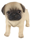 Ebros Realistic Adorable Fawn Pug Puppy Dog Figurine 5"L Pet Pal Pugsy