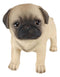 Ebros Realistic Adorable Fawn Pug Puppy Dog Figurine 5"L Pet Pal Pugsy