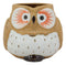 Ebros Gift Whimsical Woody Forest Big Eyed Brown Owl Ceramic 11oz Drinking Mugs Set of 4 As Kitchen Dining Home Decor Of Owls Owlet Nocturnal Bird Novelty Mug Cups For Coffee Tea Milk Beverage