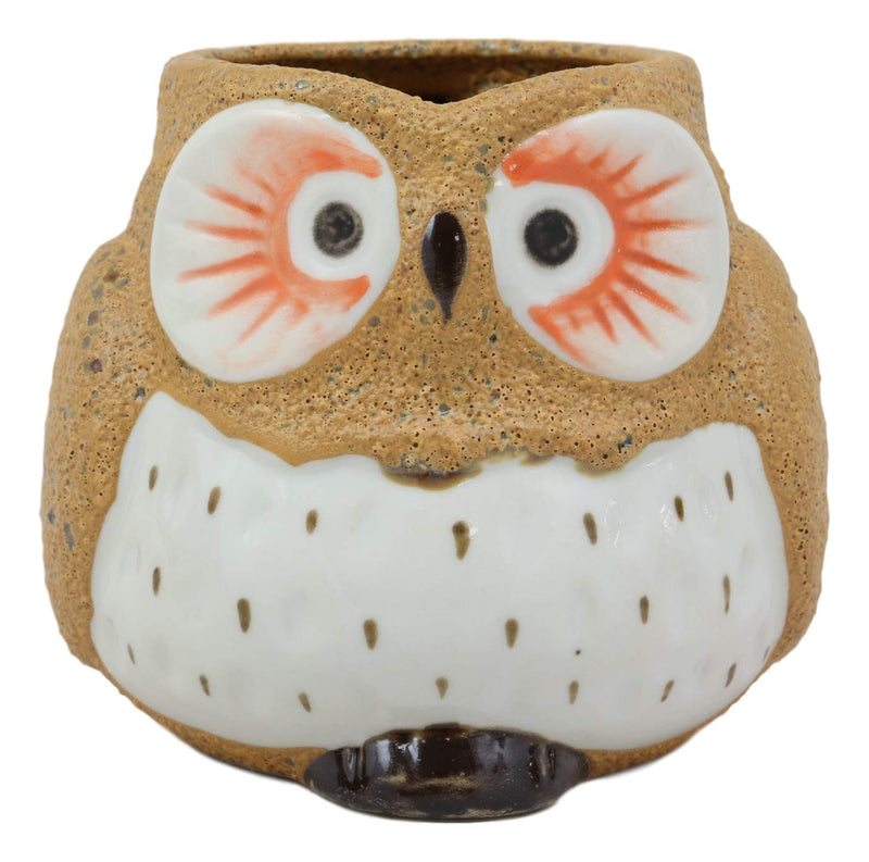 Ebros Gift Whimsical Woody Forest Big Eyed Brown Owl Ceramic 11oz Drinking Mugs Set of 4 As Kitchen Dining Home Decor Of Owls Owlet Nocturnal Bird Novelty Mug Cups For Coffee Tea Milk Beverage