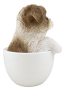 Realistic Adorable Shih Tzu Dog in Teacup Statue 5.75" Tall Pet Pal Decor Dogs