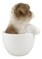 Realistic Adorable Shih Tzu Dog in Teacup Statue 5.75" Tall Pet Pal Decor Dogs