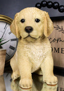 Realistic Lifelike Fawn Golden Retriever Puppy Figurine 6.5"Tall Animal Dog