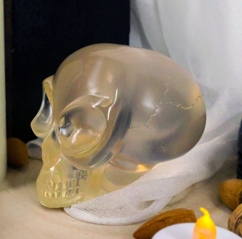 Ebros Small Clear Translucent Extraterrestrial ET Alien Skull Sculpture Predator UFO Cranium Statue Collectible 3.5"L