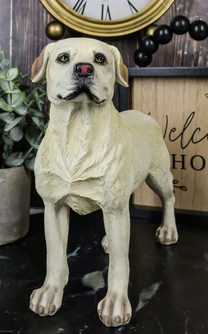 Adorable Labrador Golden Retriever Dog Standing On All Fours Pet Pal Figurine