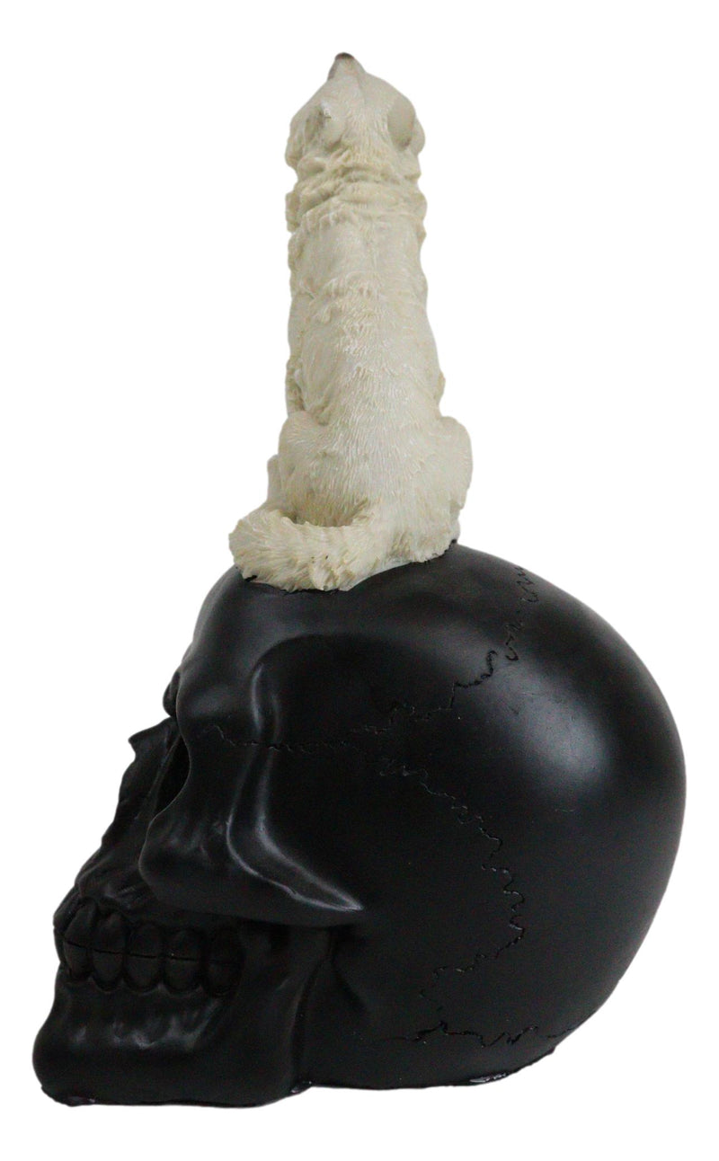 Gothic Full Moon Howling White Wolf Sitting On Black Macabre Skull Figurine