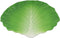 Ebros 12" Wide Green Cabbage Leaf Shaped Serving Plate Dish Platter SET OF 3 - Ebros Gift