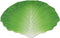Ebros 12" Wide Hearty Green Cabbage Leaf Shaped Serving Plate Dish Platter 1 PC - Ebros Gift