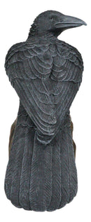 Large Dark Raven on Large Rock Platform Resin Statue Figurine 8" Height