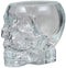 Ebros Set of 4 Translucent Acrylic Skeleton Skull Face Liquor Shot Glass Shooters