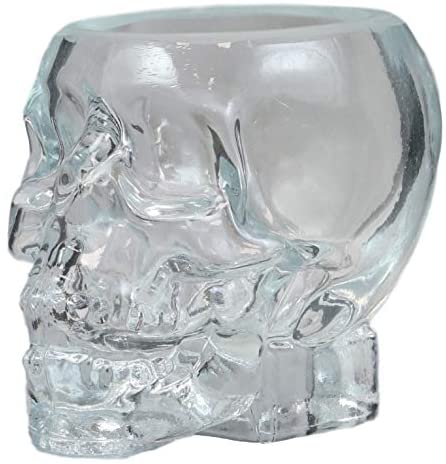 Ebros Set of 4 Translucent Acrylic Skeleton Skull Face Liquor Shot Glass Shooters