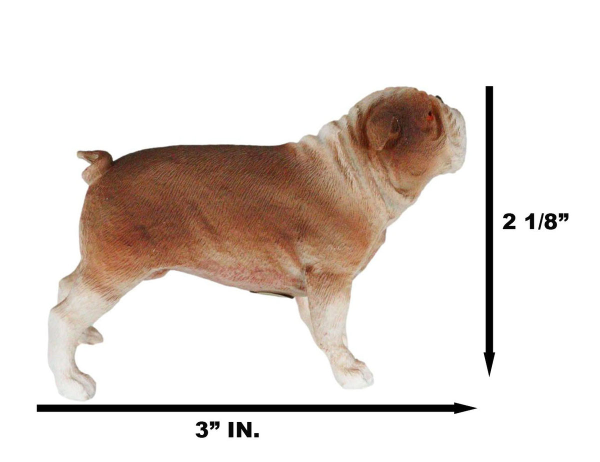 American Pedigree Dogs Lifelike Bulldog Bull Puppy Dog Miniature Figurine