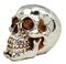 Ebros Gift Chrome Plated Golden Silver Treasure Skull Figurine 6.25"L