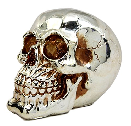 Ebros Gift Chrome Plated Golden Silver Treasure Skull Figurine 6.25"L