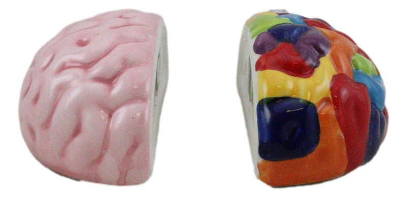 Ebros Right And Left Brains Magnetic Ceramic Salt Pepper Shakers Set 3.5"L