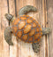 Ebros Coastal Swimming Brown Sea Turtle Wall Decor Hanging Plaque 11.25" Long