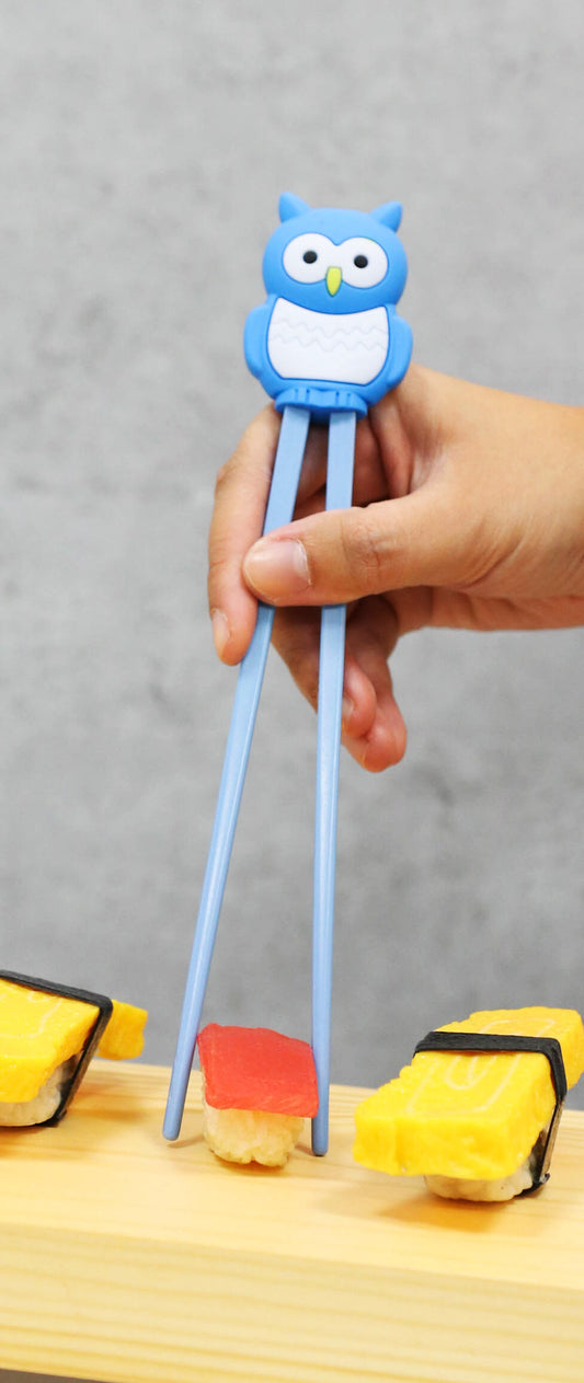 Sky Blue Night Owl Reusable Training Chopsticks Set With Silicone Helper Hinge - Ebros Gift