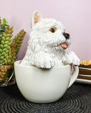 Realistic White Westie Dog in Teacup Statue 6"H Pet Pal West Highland Terrier