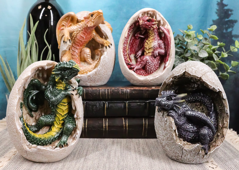 Ebros Set of 4 Fossil Dragon Hatchlings Breaking Out of Egg Shell Figurines 5" H