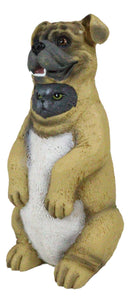 Trickster Dupers Collection Feline Kitty Cat Disguising As A Guard Dog Figurine