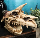 Fossil Skull Smog Fire Breath Horned Dragon Incense Holder Burner Figurine Box