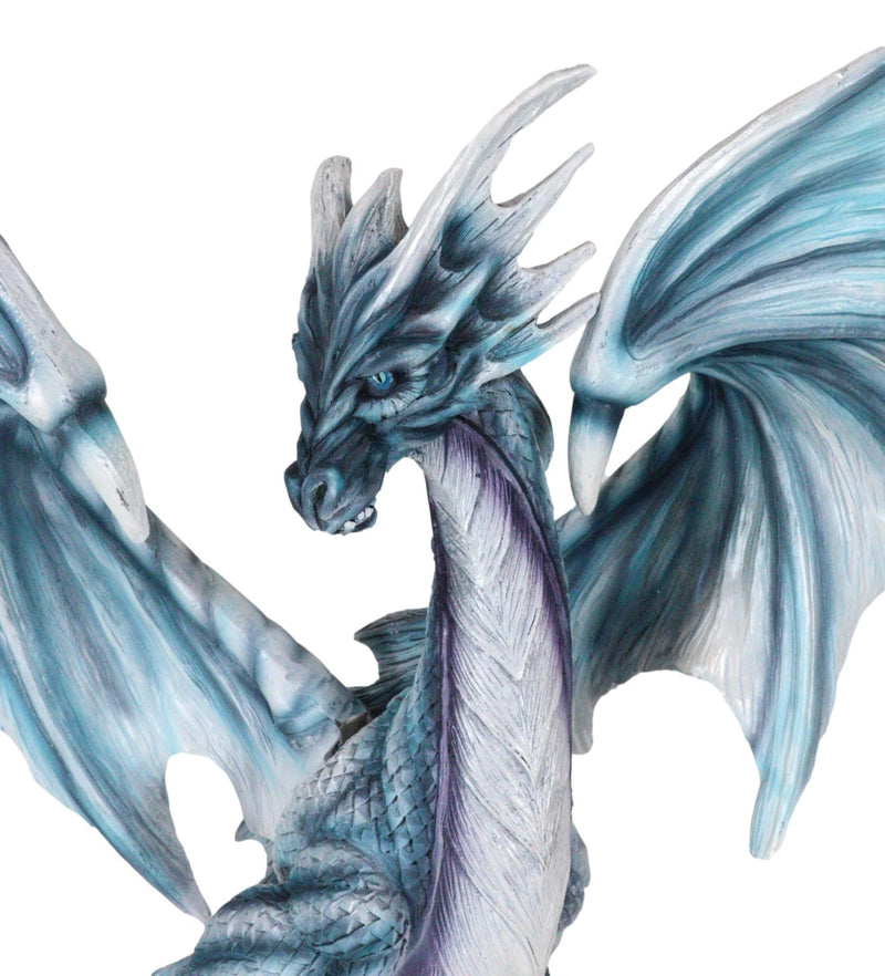 Large 18"H Dragon of Bibliography Sacred Water Spell Book Guardian Statue Decor