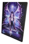 Ebros Anne Stokes Fantasy Immortal Flight Fairy Wood Framed Picture Canvas Wall Decor