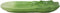 Ebros 12.5" Long Ceramic Celery Shaped Serving Plate or Dish Platter 1 PC - Ebros Gift