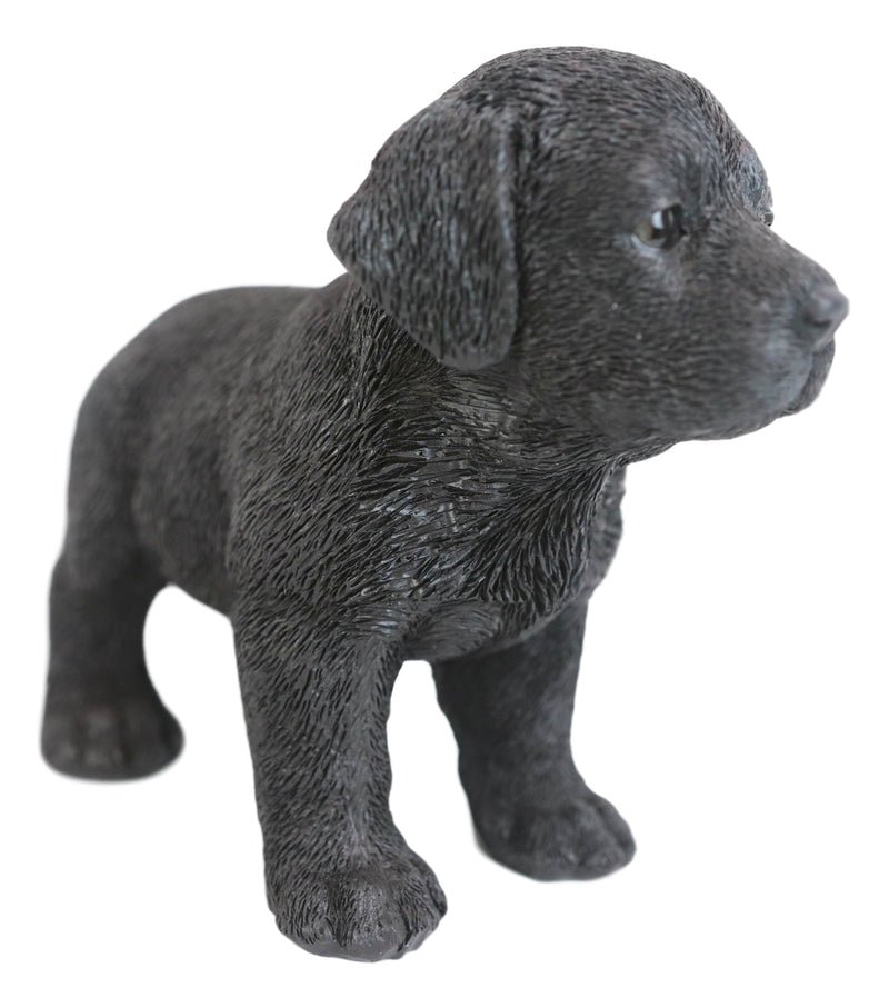 Ebros 6.25"L Realistic Chocolate Labrador Puppy Resin Figurine