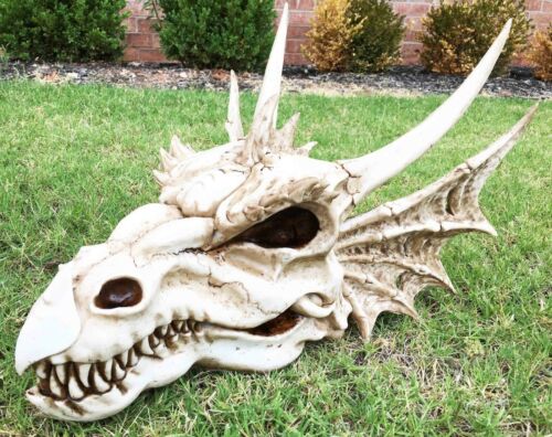 Large Elder Dragon Skull Statue Legendary Erathia Fossil Skeleton 18"L Figurine - Ebros Gift
