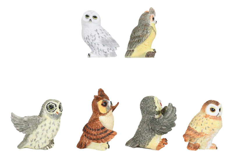 Owls of The World Colorful Nocturnal Birds In Multiple Poses Mini Figurine Set