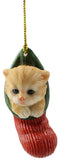 Orange Tabby Cat Kitten in The Sock Small Hanging Ornament Figurine & Glass Eyes