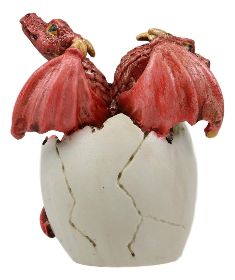 Ebros Red Baby Wyrmling Two Headed Dragon Hydra Hatchling in Egg Statue 3.25" Tall Dungeons Dragons Legends Fantasy Home and Garden Accent Decor
