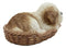 Ebros Realistic Life Like Shih Tzu Sleeping In Wicker Basket Statue Puppy Dog Figurine