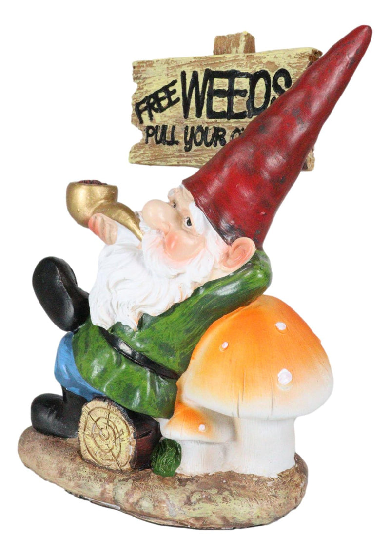 Mr Gnome Grandpa Smoking Pipe By Toadstool Mushrooms And Free Weeds Sign Statue