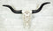 Large 27 Inch Long Legacy Longhorn Cow Black and White Tattoo Design Figurine