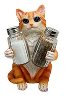 Ebros Orange Tabby Kitty Cat Hugging Spice Salt Pepper Shakers Holder 8.25"H