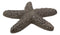 Ebros Cast Iron Ocean Coral Sea Star Shell Starfish Decorative Accent Statue in Rustic Bronze Finish 4.5" Wide Nautical Coastal Themed Decor for Wedding Beach Party Home Decorations DIY Crafts (2)