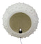 15"D Beach Ocean White Sea Urchin Shell Light Up Frosted Glass Natural Sandstone