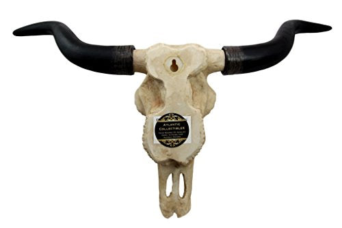 Ebros Texas Longhorn Steer Cattle Cow Skull Wall Hanging Plaque Figurine 21"L - Ebros Gift
