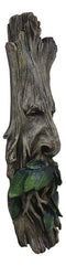 Ebros Celtic Greenman Enigma Face Wall Hanging Sculpture Decor 15" High