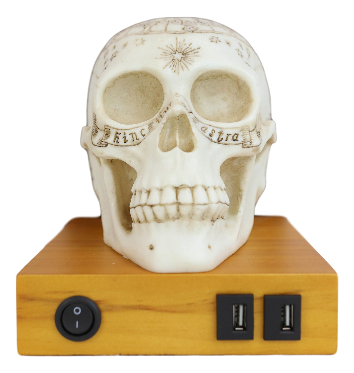 Wicca Astrology Zodiac Skull LED Night Light Statue With USB Charging Wood Base