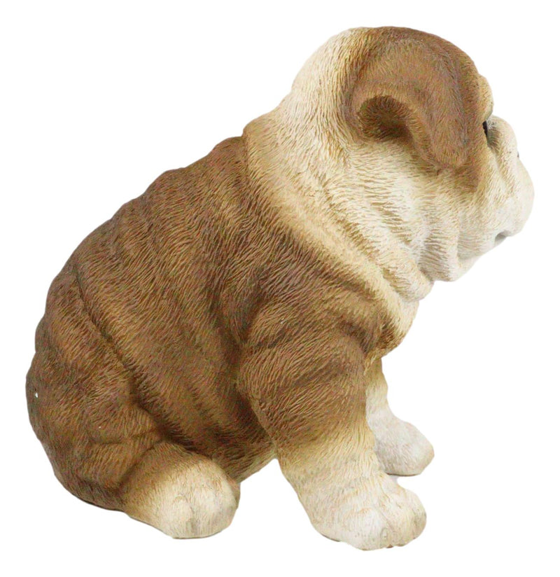 Ebros Lifelike Sitting Adorable Bulldog Puppy Dog Figurine 5"H Pet Pal Puppies